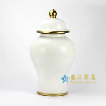 RYRJ14-D　亚光白金边将军罐