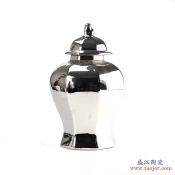 RYNQ166-B  景德镇 镀银 多边形将军罐 花瓶  艺术摆件品