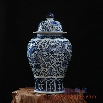 rzfq10    龙凤呈祥青花将军罐  花瓶