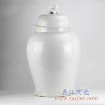 RYNQ203-B_白色狮子头将军罐陶瓷罐储物罐家居摆件