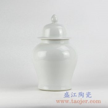 RYNQ221_全白将军罐花瓶花插陶瓷瓶景德镇艺术摆件品