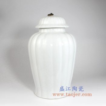 RYNQ243 全白将军罐储物罐花瓶花插带铜扣
