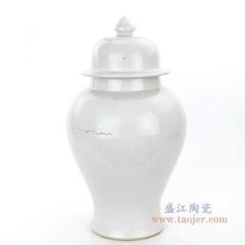RZPI17 景德镇陶瓷 陶瓷罐子白色将军罐