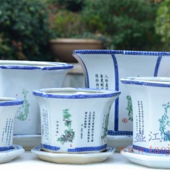 RZPR03-1-2-3-4-5 景德镇陶瓷 多肉植物陶瓷兰花花盆特大号