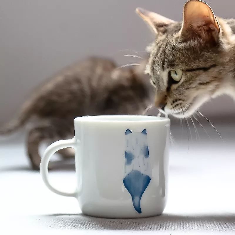 新品推荐-创意手绘可爱猫咪陶瓷茶杯