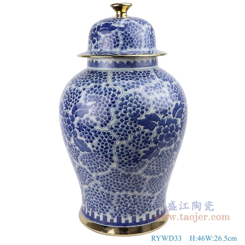 RYWD33 青花 手绘葡萄牡丹纹将军罐 正面图