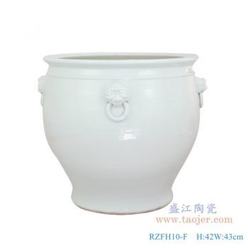 RZFH10-F 仿古 颜色釉狮子头带环纯白雕刻大缸