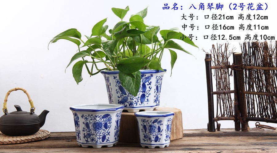 青花系列 这样美的花盆,总有一款适合装点您的家