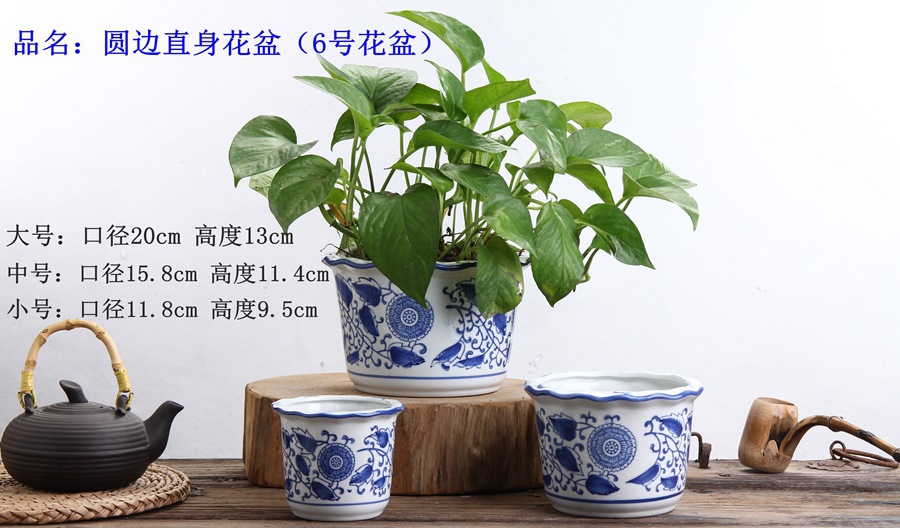 青花系列 这样美的花盆,总有一款适合装点您的家
