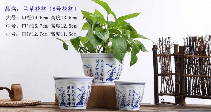 青花系列 这样美的花盆,总有一款适合装点您的家