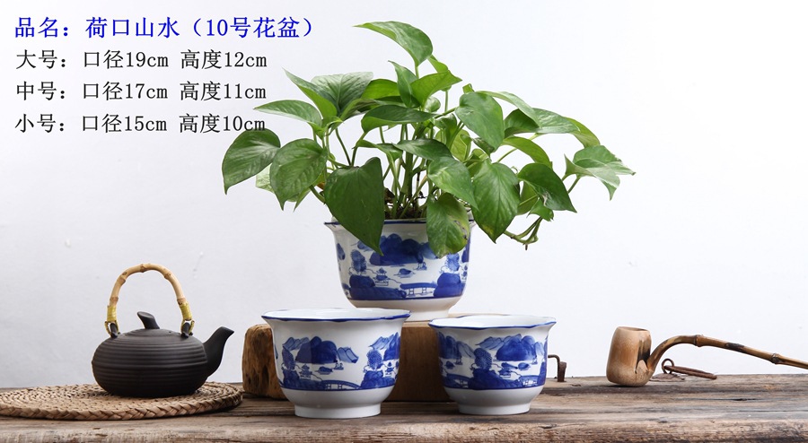 青花系列 这样美的花盆,总有一款适合装点您的家