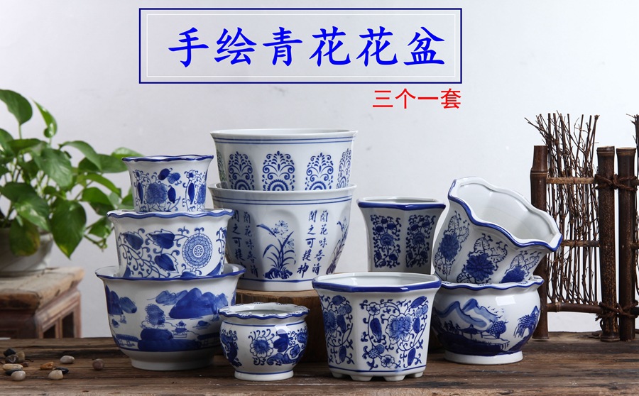 青花系列 这样美的花盆,总有一款适合装点您的家