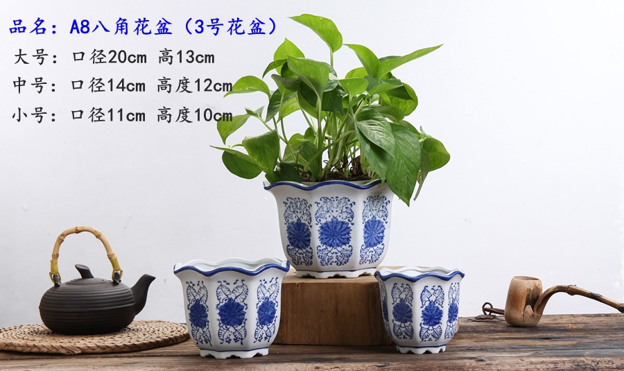 青花系列 这样美的花盆,总有一款适合装点您的家