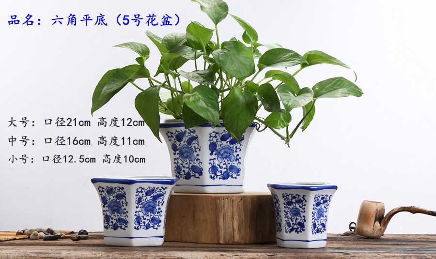 青花系列 这样美的花盆,总有一款适合装点您的家
