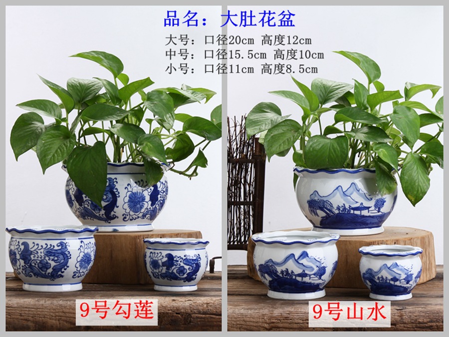 青花系列 这样美的花盆,总有一款适合装点您的家