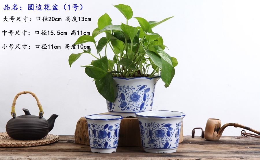 青花系列 这样美的花盆,总有一款适合装点您的家