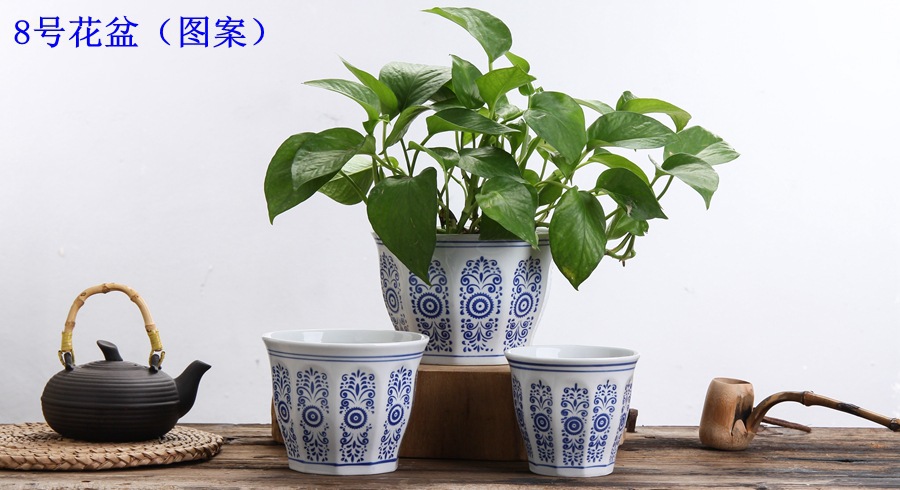 青花系列 这样美的花盆,总有一款适合装点您的家
