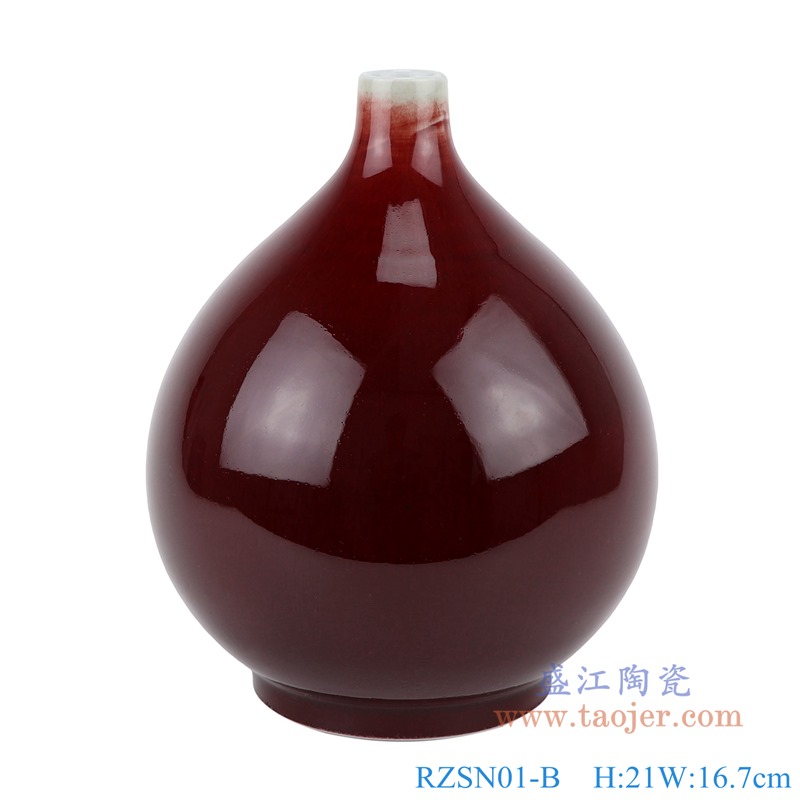 RZSN01-A