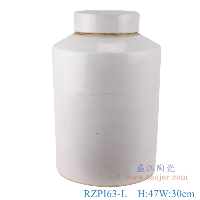RZPI63-L纯白色大号储蓄茶叶罐