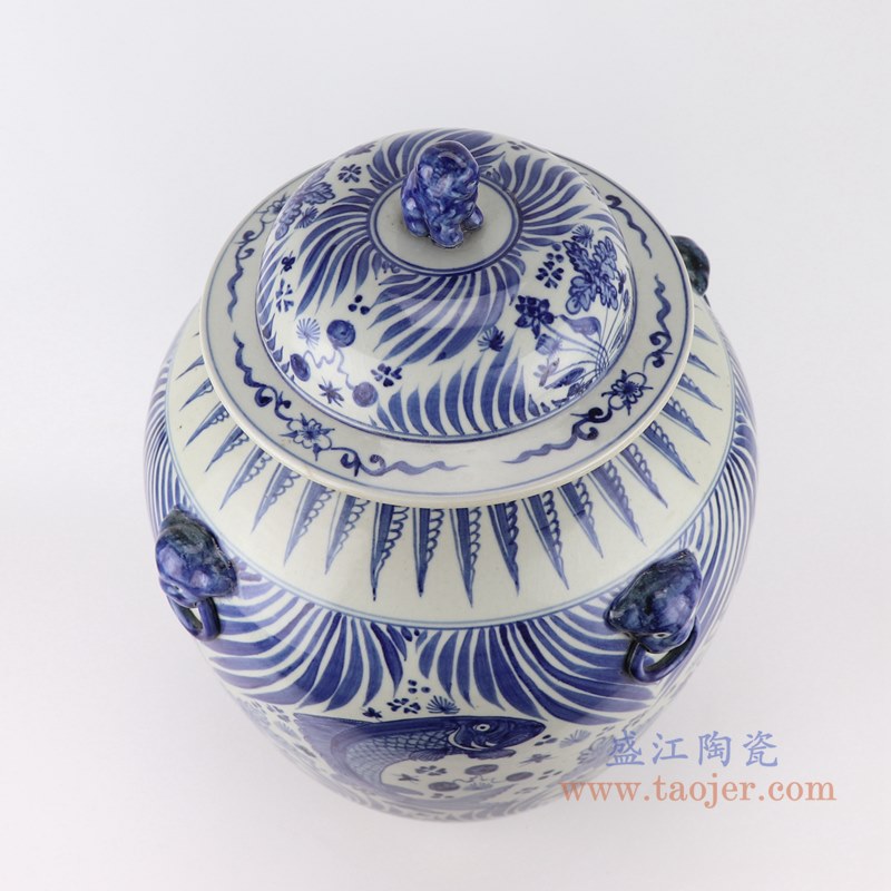 青花鱼藻纹狮子头将军罐大肚盖罐;产品编号:RZFH32 产品尺寸(单位cm): 高:50直径:36.8口径:底径:19重量:11.4KG