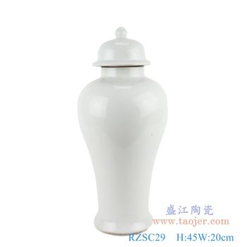 RZSC29   青花纯白色将军罐    高：45直径：20口径：底径：12.7重量：2.9KG