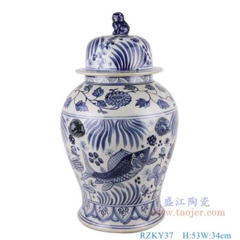 RZKY37   青花鱼藻纹狮子头将军罐    高：53直径：34口径：底径：23重量：8.4KG
