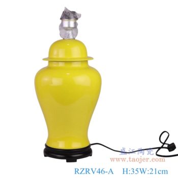 DS-RZRV46-A       产品尺寸(单位cm):  高：35直径：21口径：底径：14重量：KG