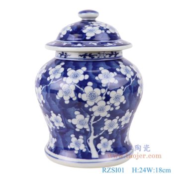 RZSI01       产品尺寸(单位cm):  高：24直径：18口径：10.8底径：15重量：1.5KG
