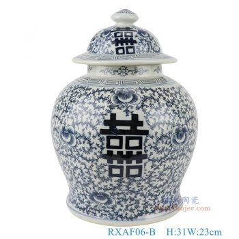RXAF06-B       产品尺寸(单位cm):  高31直径23口径22.7底径18.8重量2.9KG