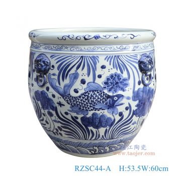 RZSC44-A     青花鱼藻纹狮子耳大缸，   高53.5直径60