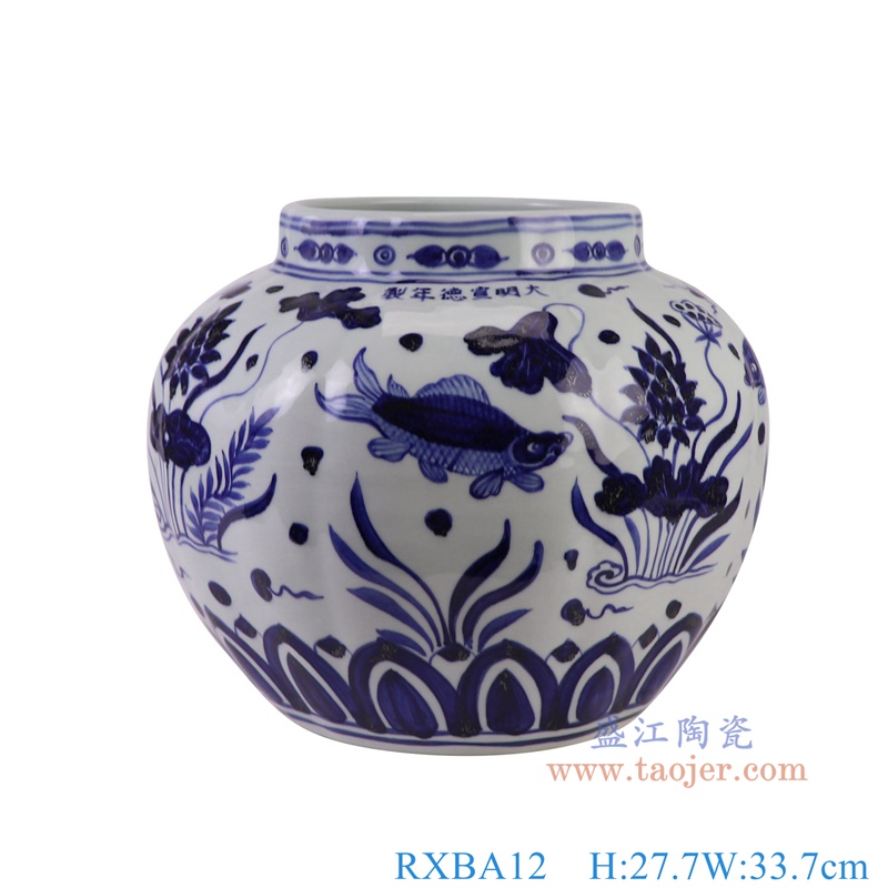 RXBA12青花鱼藻纹八面南瓜罐子正面图