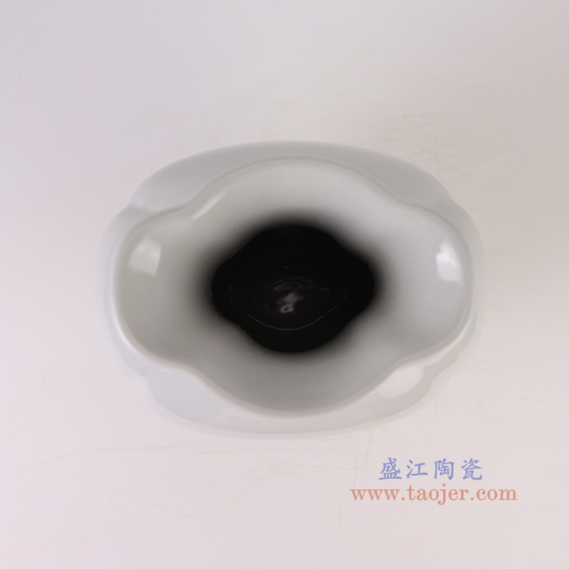 RZGY14-A白色雕刻双耳六面花口鱼尾瓶顶部图