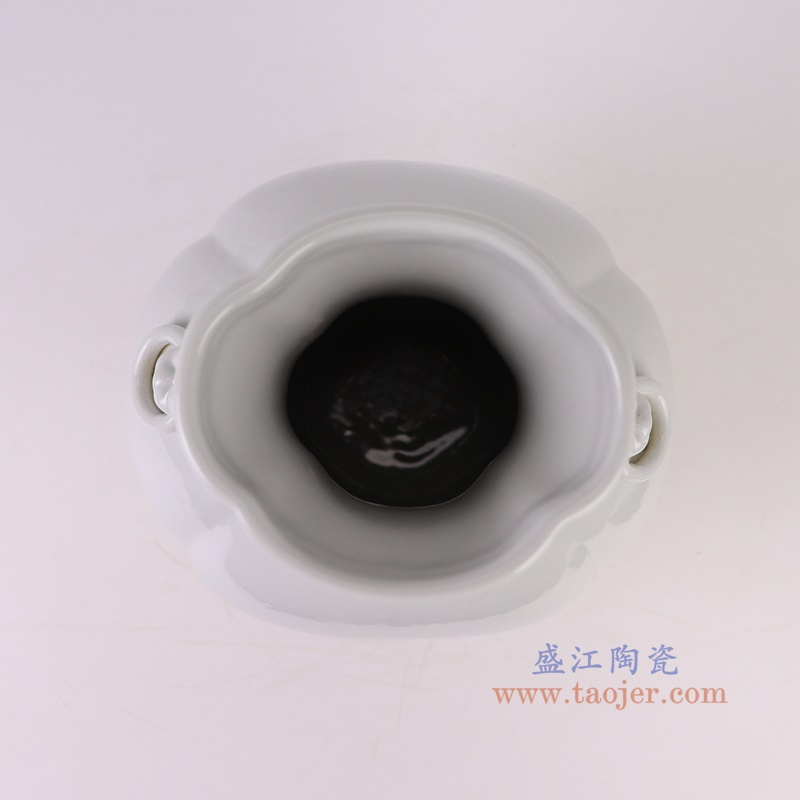 RZGY21-A白色狮耳六面花口瓶顶部图