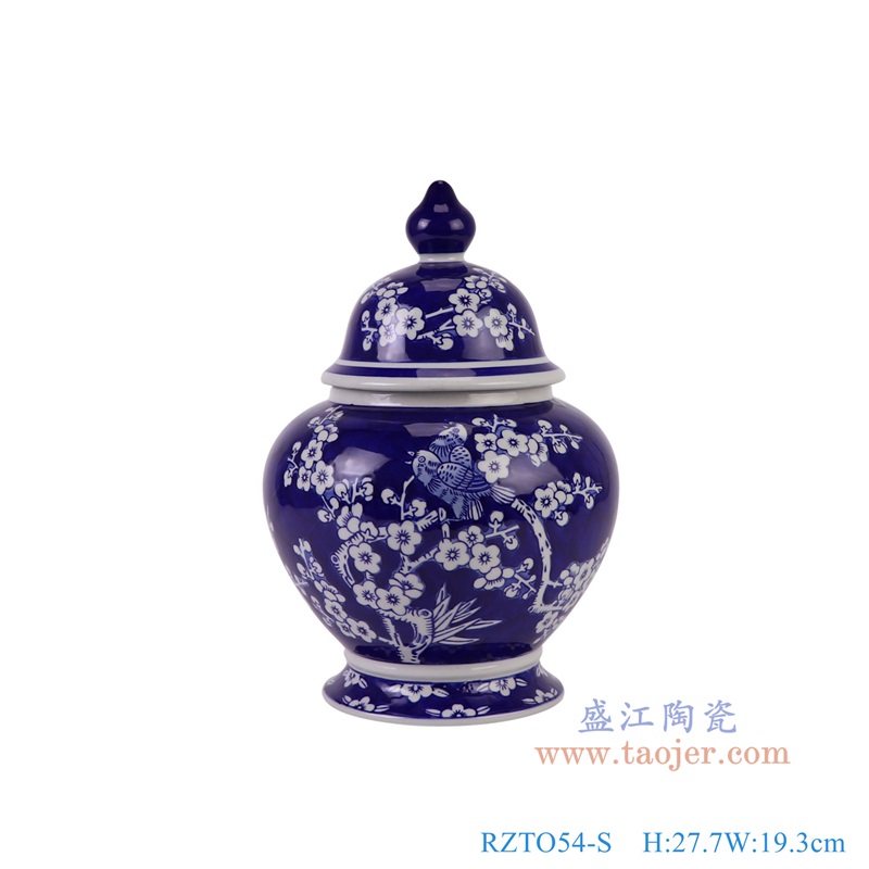 RZTO54-S青花冰梅将军罐小号正面图