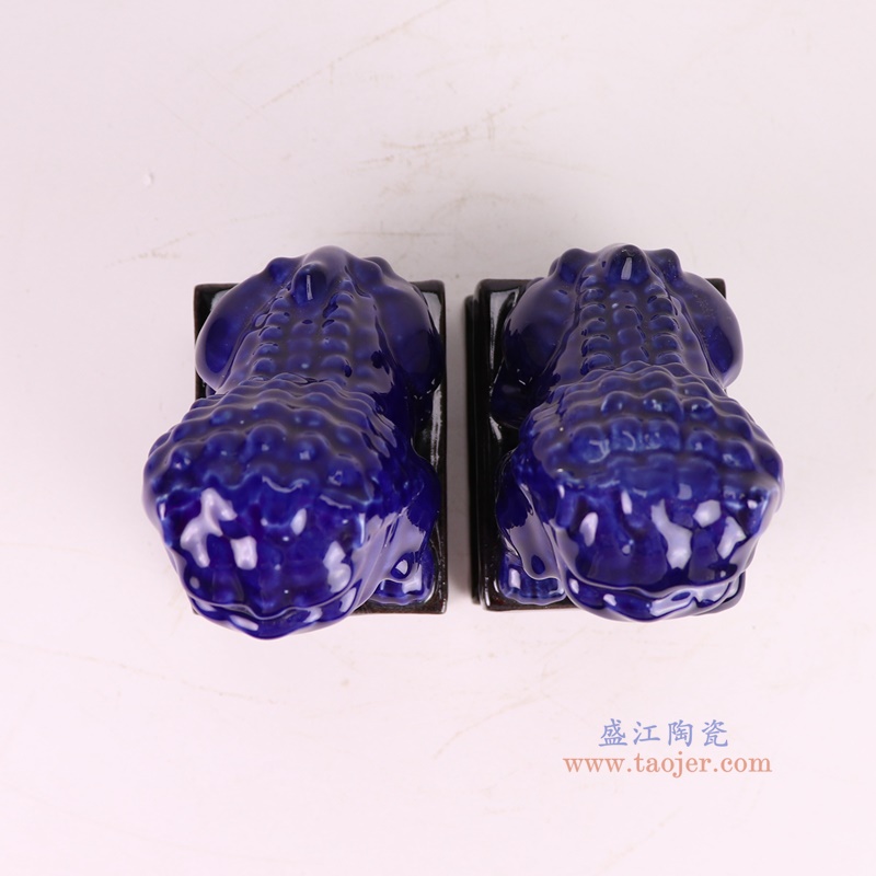RYXP21-R黑底深蓝狮子狗一对顶部图
