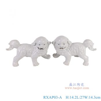 RXAP03-A 白色狮子狗一对 高14.2直径27重量1KG
