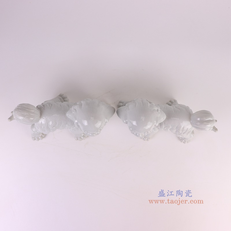 RXAP03-A白色狮子狗一对顶部图