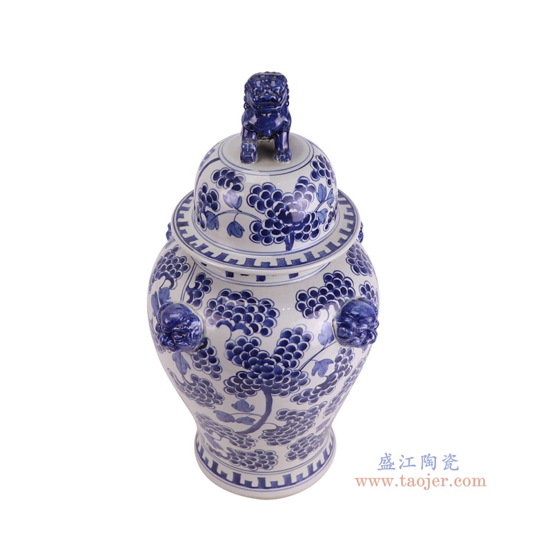 RXBN10-A青花葡萄纹狮子头将军罐俯视图