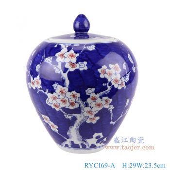 RYCI69-A  青花釉里红冰梅天球瓶 高29直径23.5底径10.5重量3.15KG