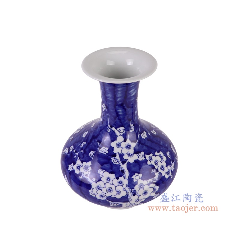 RYCI73-A青花冰梅扁肚瓶俯视图