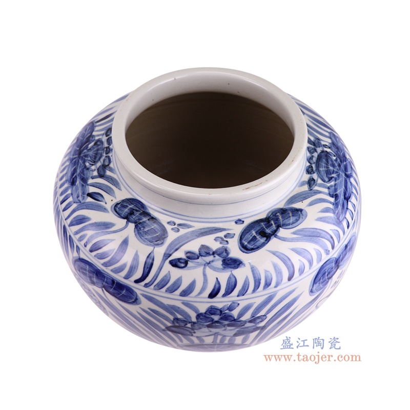 RZPI88-A青花鱼藻纹大罐俯视图
