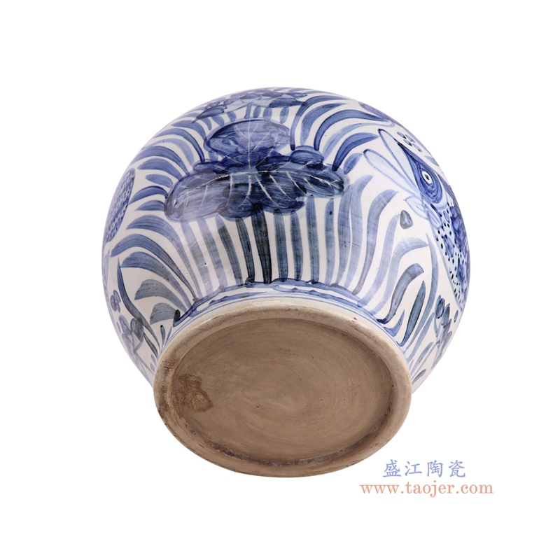 RZPI88-A青花鱼藻纹大罐底部图