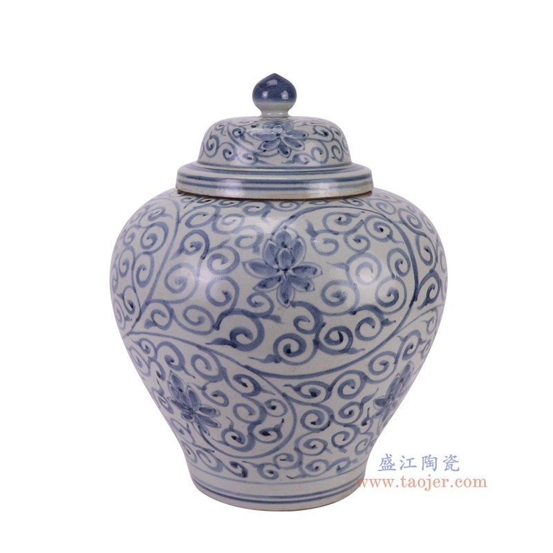 RZSX81-B青花缠枝莲花将军罐包盖罐侧面图