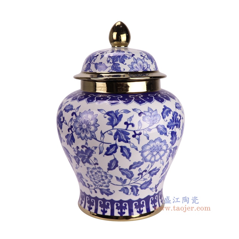 RXAE-FL21-342青花缠枝莲镀金将军罐侧面图