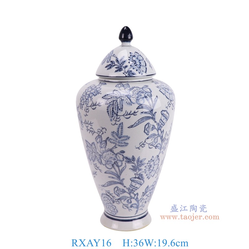 RXAY16青花花鸟冬瓜瓶正面图