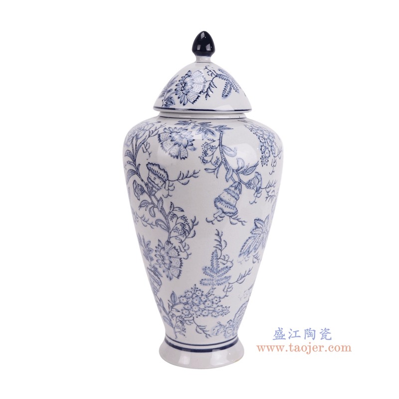RXAY16青花花鸟冬瓜瓶侧面图