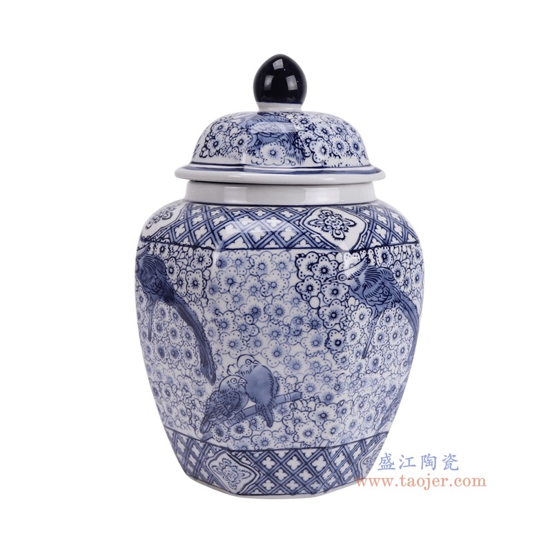 RXAY30-L青花花鸟将军罐大号侧面图