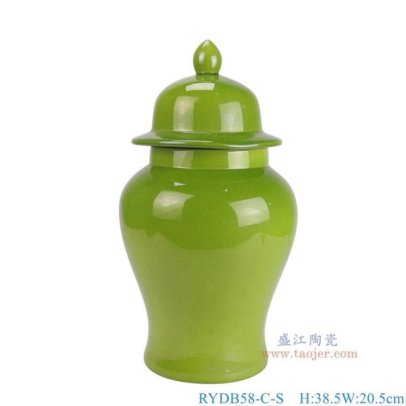 RYDB58-C-S绿色颜色釉将军罐正面图
