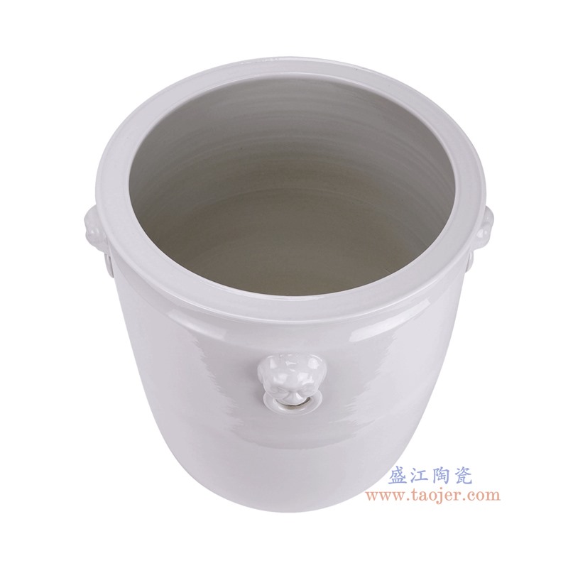 RZFH02-H白色狮头衔环直口大缸俯视图