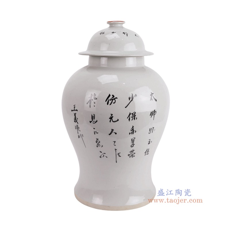 RZIH24-A釉里红狮子纹将军罐侧面图